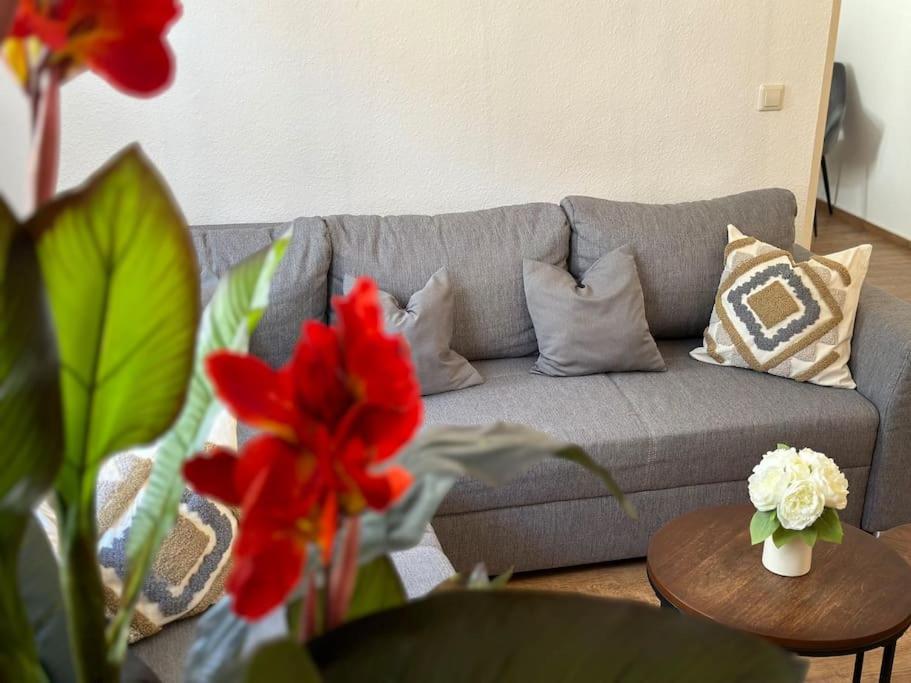Modern Eingerichtete Wohnung Im Stadtzentrum Zittau Kostenloser Parkplatz ภายนอก รูปภาพ
